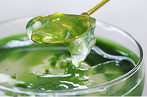 宇治抹茶寒天ゼリー