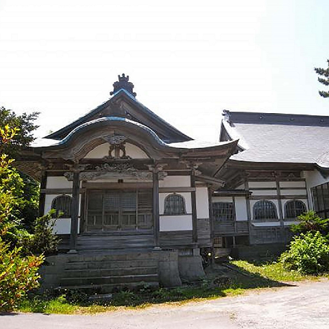 世界最北端の茶樹