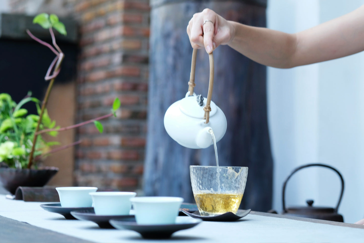 玉露とは？どんなお茶？煎茶と違いや玉露の入れ方を徹底解説！