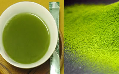 有機栽培粉末緑茶Ｅライフ（鹿児島県産）0.5g×24本